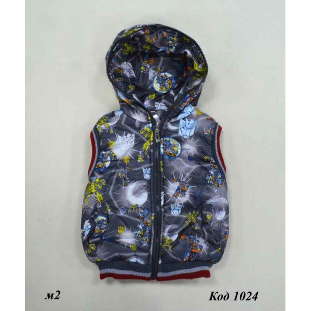Ch Жилетка для хлопчика з капюшоном синтапон на флісі L-XXL (2-5років)  3(2) р.